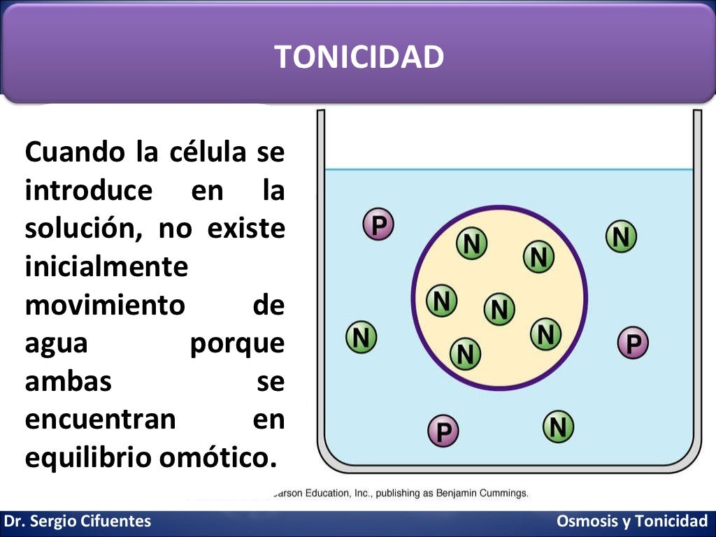 Osmolaridad y tonicidad