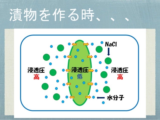 浸透圧について
