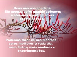 Deus não nos condena,  Ele apenas sofre quando sofremos  e abre-nos a porta a novas  possibilidades.   Podemos fazer de nós mesmos  seres melhores a cada dia,  mais fortes, mais maduros e  experimentados.  