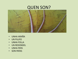 QUEN SON?




•   UNHA ARAÑA
•   UN PULPO
•   UNHA FOLLA
•   UN REDONDEL
•   UNHA PATA
•   SON PATAS
 