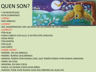 QUEN SON?
• UN MURCIÉLAGO
•ESTÁ DURMIENDO
•¿ONDE?
•NOS ÁRBOLES
•¿COMO?
•ASÍ, AGARRÁNDOSE CON LAS PATAS EN LAS RAMAS DE LOS ÁRBOLES
•¿COMO É?
•TEN ALAS
•UNHA CABEZA CUN OLLO, O OUTRO ESTÁ CHISCADO
•DÚAS PATAS
•TEN DENTES
•TEN ALAS
•UN CORPO
•¿ONDE VIVEN?
•ADRIÁN : EN LOS ÁRBOLES
•ANDREI: NUNHA CASA BRANCA
•AINHOA: PODEN VIVIR NUNHA CASA, QUE TAMÉN PODEN VIVIR NUNHA CARAVANA
•ZAIRA: NA CASA
•ARIADNA: EN UNA CUEVA
•CARLA: OU NUNHA CASITA NUN ÁRBOL
•AINHOA: PODE VIVIR NUNHA COVA DAS ÁRBORES OU ALGO ASÍ
 