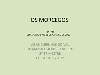 OS MORCEGOS
                 1ª FASE
 SEMANA DO 9 AO 13 DE XANEIRO DE 2012



    AS ANDURINHAS DO VAL
CEIP MANUEL SIEIRO ...