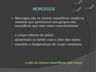     Morcegos são os únicos mamíferos voadores
     animais que pertencem aos grupos dos
     mamíferos que tem como características:

1.   o corpo coberto de pelos;
2.   alimentam os bebés com o leite das mães;
3.   mantêm a temperatura do corpo constante.




          e são os únicos mamíferos que voam.
 