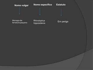 Nome vulgar       Nome específico   Estatuto




Morcego-de-         Rhinolophus
ferradura-pequeno
                                       Em perigo
                    hipposideros
 