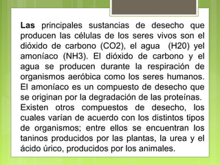 Las principales sustancias de desecho que
producen las células de los seres vivos son el
dióxido de carbono (CO2), el agua (H20) yel
amoníaco (NH3). El dióxido de carbono y el
agua se producen durante la respiración de
organismos aeróbica como los seres humanos.
El amoníaco es un compuesto de desecho que
se originan por la degradación de las proteínas.
Existen otros compuestos de desecho, los
cuales varían de acuerdo con los distintos tipos
de organismos; entre ellos se encuentran los
taninos producidos por las plantas, la urea y el
ácido úrico, producidos por los animales.
 
