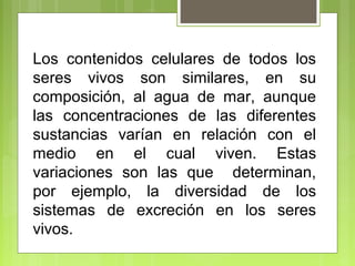 Los contenidos celulares de todos los
seres vivos son similares, en su
composición, al agua de mar, aunque
las concentraciones de las diferentes
sustancias varían en relación con el
medio en el cual viven. Estas
variaciones son las que determinan,
por ejemplo, la diversidad de los
sistemas de excreción en los seres
vivos.
 