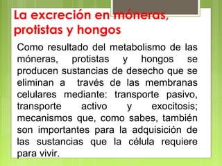 La excreción en móneras,
protistas y hongos
Como resultado del metabolismo de las
móneras, protistas y hongos se
producen sustancias de desecho que se
eliminan a través de las membranas
celulares mediante: transporte pasivo,
transporte activo y exocitosis;
mecanismos que, como sabes, también
son importantes para la adquisición de
las sustancias que la célula requiere
para vivir.
 