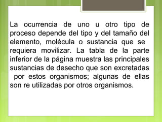 La ocurrencia de uno u otro tipo de
proceso depende del tipo y del tamaño del
elemento, molécula o sustancia que se
requiera movilizar. La tabla de la parte
inferior de la página muestra las principales
sustancias de desecho que son excretadas
por estos organismos; algunas de ellas
son re utilizadas por otros organismos.
 
