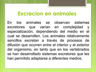 Excrecion en animales
En los animales se observan sistemas
excretores que varían en complejidad y
especialización, dependiendo del medio en el
cual se desarrollen. Los animales relativamente
sencillos excretan a través de procesos de
difusión que ocurren entre el interior y el exterior
del organismo, en tanto que en los vertebrados
se han desarrollado sistemas excretores que les
han permitido adaptarse a diferentes medios.
 