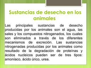 Sustancias de desecho en los
animales
Las principales sustancias de desecho
producidas por los animales son el agua, las
sales y los compuestos nitrogenados, los cuales
son eliminados a través de los diferentes
mecanismos de excreción. Las sustancias
nitrogenadas producidas por los animales como
resultado de la degradación de proteínas y
ácidos nucleicos pueden ser de tres tipos:
amoníaco, ácido úrico, urea.
 
