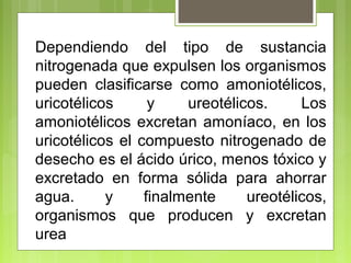 Dependiendo del tipo de sustancia
nitrogenada que expulsen los organismos
pueden clasificarse como amoniotélicos,
uricotélicos y ureotélicos. Los
amoniotélicos excretan amoníaco, en los
uricotélicos el compuesto nitrogenado de
desecho es el ácido úrico, menos tóxico y
excretado en forma sólida para ahorrar
agua. y finalmente ureotélicos,
organismos que producen y excretan
urea
 