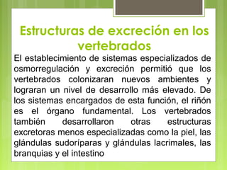 Estructuras de excreción en los
vertebrados
El establecimiento de sistemas especializados de
osmorregulación y excreción permitió que los
vertebrados colonizaran nuevos ambientes y
lograran un nivel de desarrollo más elevado. De
los sistemas encargados de esta función, el riñón
es el órgano fundamental. Los vertebrados
también desarrollaron otras estructuras
excretoras menos especializadas como la piel, las
glándulas sudoríparas y glándulas lacrimales, las
branquias y el intestino
 