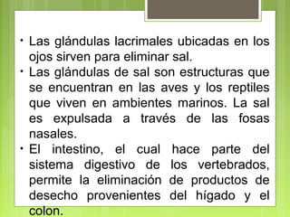 • Las glándulas lacrimales ubicadas en los
ojos sirven para eliminar sal.
• Las glándulas de sal son estructuras que
se encuentran en las aves y los reptiles
que viven en ambientes marinos. La sal
es expulsada a través de las fosas
nasales.
• El intestino, el cual hace parte del
sistema digestivo de los vertebrados,
permite la eliminación de productos de
desecho provenientes del hígado y el
colon.
 
