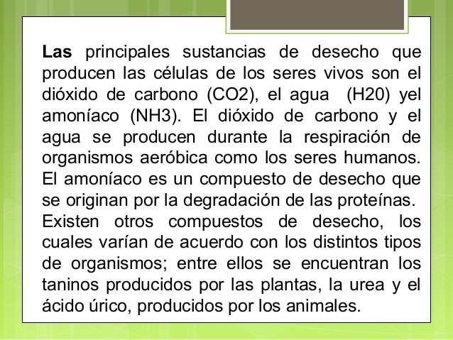 El tratamiento eficaz del hongo del pies de la pastilla