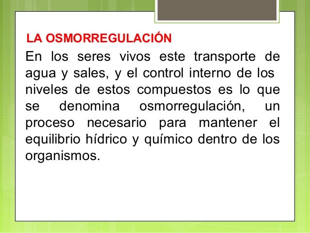 Del hongo de los pie kitay