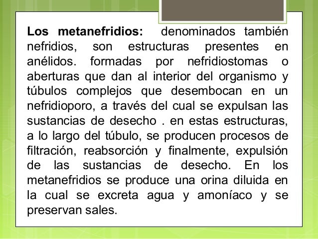 Por eso nunca va a preguntas selectividad metabolismo resueltas