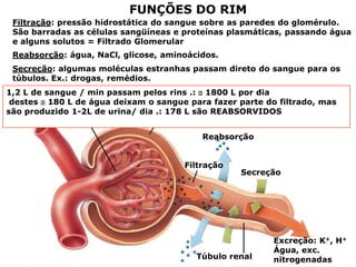 FUNÇÕES DO RIM
Filtração: pressão hidrostática do sangue sobre as paredes do glomérulo.
São barradas as células sangüíneas e proteínas plasmáticas, passando água
e alguns solutos = Filtrado Glomerular
Reabsorção: água, NaCl, glicose, aminoácidos.

Secreção: algumas moléculas estranhas passam direto do sangue para os
túbulos. Ex.: drogas, remédios.
1,2 L de sangue / min passam pelos rins .:  1800 L por dia
destes  180 L de água deixam o sangue para fazer parte do filtrado, mas
Cápsula de
são produzido 1-2L de urina/ dia .: 178 L são REABSORVIDOS
Bowman
Glomérulo
Reabsorção
Filtração

Secreção

Túbulo renal

Excreção: K+, H+
Água, exc.
nitrogenadas

 