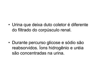 • Urina que deixa duto coletor é diferente
do filtrado do corpúsculo renal.
• Durante percurso glicose e sódio são
reabsorvidos. Íons hidrogênio e uréia
são concentradas na urina.

 