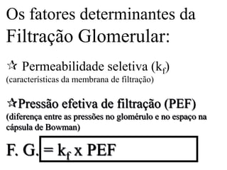 Os fatores determinantes da

Filtração Glomerular:
 Permeabilidade seletiva (kf)
(características da membrana de filtração)

Pressão efetiva de filtração (PEF)
(diferença entre as pressões no glomérulo e no espaço na
cápsula de Bowman)

F. G. = kf x PEF

 