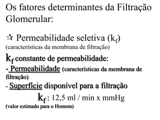 Os fatores determinantes da Filtração
Glomerular:
 Permeabilidade seletiva (kf)
(características da membrana de filtração)

kf constante de permeabilidade:
- Permeabilidade (características da membrana de
filtração)
- Superfície

disponível para a filtração

kf : 12,5 ml / min x mmHg

(valor estimado para o Homem)

 