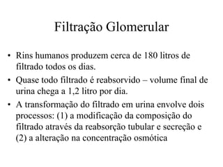 Filtração Glomerular
• Rins humanos produzem cerca de 180 litros de
filtrado todos os dias.
• Quase todo filtrado é reabsorvido – volume final de
urina chega a 1,2 litro por dia.
• A transformação do filtrado em urina envolve dois
processos: (1) a modificação da composição do
filtrado através da reabsorção tubular e secreção e
(2) a alteração na concentração osmótica

 