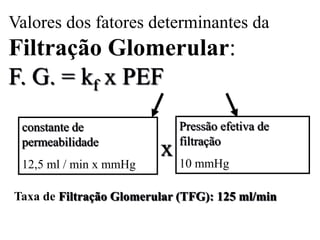 Valores dos fatores determinantes da

Filtração Glomerular:
F. G. = kf x PEF
constante de
permeabilidade
12,5 ml / min x mmHg

Pressão efetiva de
filtração

x 10 mmHg

Taxa de Filtração Glomerular (TFG): 125 ml/min

 