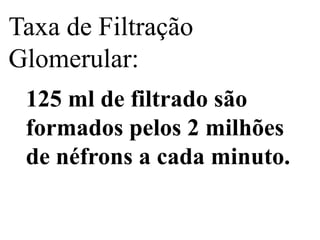Taxa de Filtração
Glomerular:
125 ml de filtrado são
formados pelos 2 milhões
de néfrons a cada minuto.

 