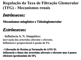 Regulação da Taxa de Filtração Glomerular
(TFG) - Mecanismos renais

Intrínsecos:
Mecanismos miogênico e Túbuloglomerular

Extrínsecos:
- Influência S. N. Simpático:
inervação das arteríolas aferente e eferente.
Influência é proporcional à queda da PA.
- Liberação de Renina p/ formação de ANG II:
Influencia o tônus das arteríolas aferente e eferente mas é pouco
eficiente (predomínio do SP).

 