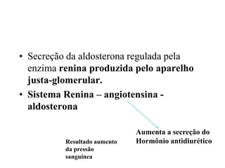 • Secreção da aldosterona regulada pela
enzima renina produzida pelo aparelho
justa-glomerular.
• Sistema Renina – angiotensina aldosterona

Resultado aumento
da pressão
sanguínea

Aumenta a secreção do
Hormônio antidiurético

 