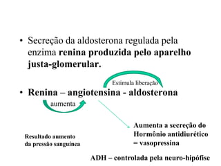 • Secreção da aldosterona regulada pela
enzima renina produzida pelo aparelho
justa-glomerular.
Estimula liberação

• Renina – angiotensina - aldosterona
aumenta

Resultado aumento
da pressão sanguínea

Aumenta a secreção do
Hormônio antidiurético
= vasopressina

ADH – controlada pela neuro-hipófise

 