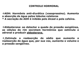 CONTROLE HORMONAL
ADH: Hormônio anti-diurético (vasopressina). Aumenta
a absorção de água pelos túbulos coletores
* A secreção de ADH é inibida pelo álcool e pela cafeína.
Aldosterona: ao detectar a queda de pressão sangüínea,
as células do rim secretam hormônios que estimula a
adrenal a produzir aldosterona.
 Estimula a reabsorção de sódio que aumenta a
reabsorção de água que, por sua vez, aumenta o volume e
a pressão sangüínea.

 
