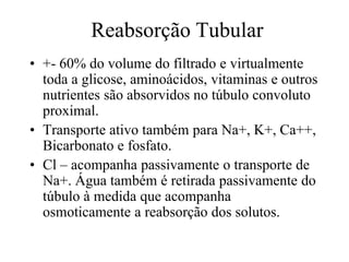 Reabsorção Tubular
• +- 60% do volume do filtrado e virtualmente
toda a glicose, aminoácidos, vitaminas e outros
nutrientes são absorvidos no túbulo convoluto
proximal.
• Transporte ativo também para Na+, K+, Ca++,
Bicarbonato e fosfato.
• Cl – acompanha passivamente o transporte de
Na+. Água também é retirada passivamente do
túbulo à medida que acompanha
osmoticamente a reabsorção dos solutos.

 