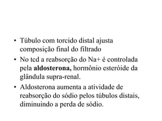 • Túbulo com torcido distal ajusta
composição final do filtrado
• No tcd a reabsorção do Na+ é controlada
pela aldosterona, hormônio esteróide da
glândula supra-renal.
• Aldosterona aumenta a atividade de
reabsorção do sódio pelos túbulos distais,
diminuindo a perda de sódio.

 
