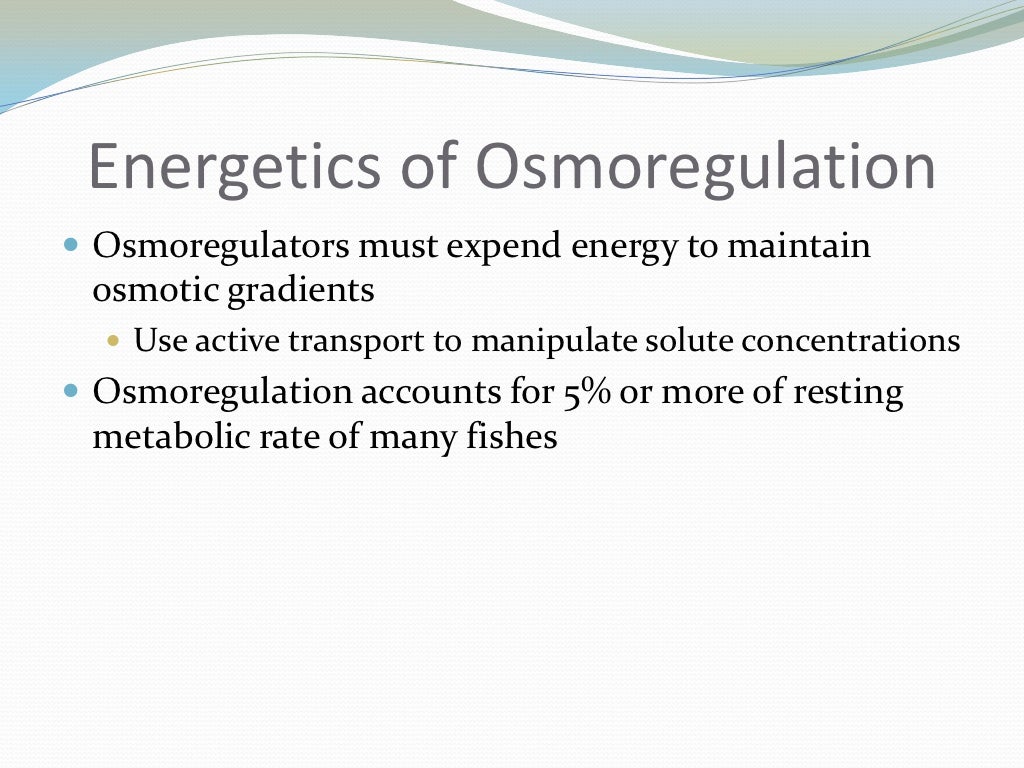 Osmoregulation