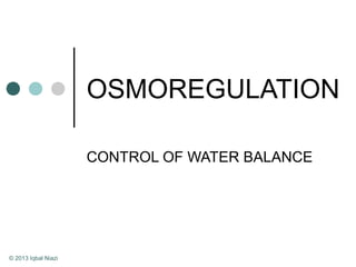 OSMOREGULATION
CONTROL OF WATER BALANCE
© 2013 Iqbal Niazi
 