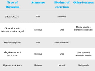 Marine fishe s Gills Ammonia
Elasm o branchs
(sharks, skate s, rays)
Kidneys Urea
Rectal glands –
excrete excess NaCl
Freshwater fishes Gills Ammonia or urea
Am phibians and
m am m als
Kidneys Urea
Liver converts
ammonia to urea
Re ptile s and birds Kidneys Uric acid Salt glands
Type of
Organism
Structure Product of
excretion
Otherfeatures
 