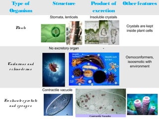 Type of
Organism
Structure Product of
excretion
Otherfeatures
Plants
Stomata, lenticels Insoluble crystals
Crystals are kept
inside plant cells
Cnidarians and
e chino de rm s
No excretory organ -
Osmoconformers,
isoosmotic with
environment
Fre shwate r pro tists
and spo ng e s
Contractile vacuole
 