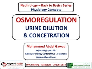 OSMOREGULATION
URINE DILUTION
& CONCETRATION
Mohammed Abdel Gawad
Nephrology Specialist
Kidney & Urology Center (KUC) - Alexandria
drgawad@gmail.com
DNG Meeting – Mansoura – 20 June 2014
Nephrology – Back to Basics Series
Physiology Concepts
 