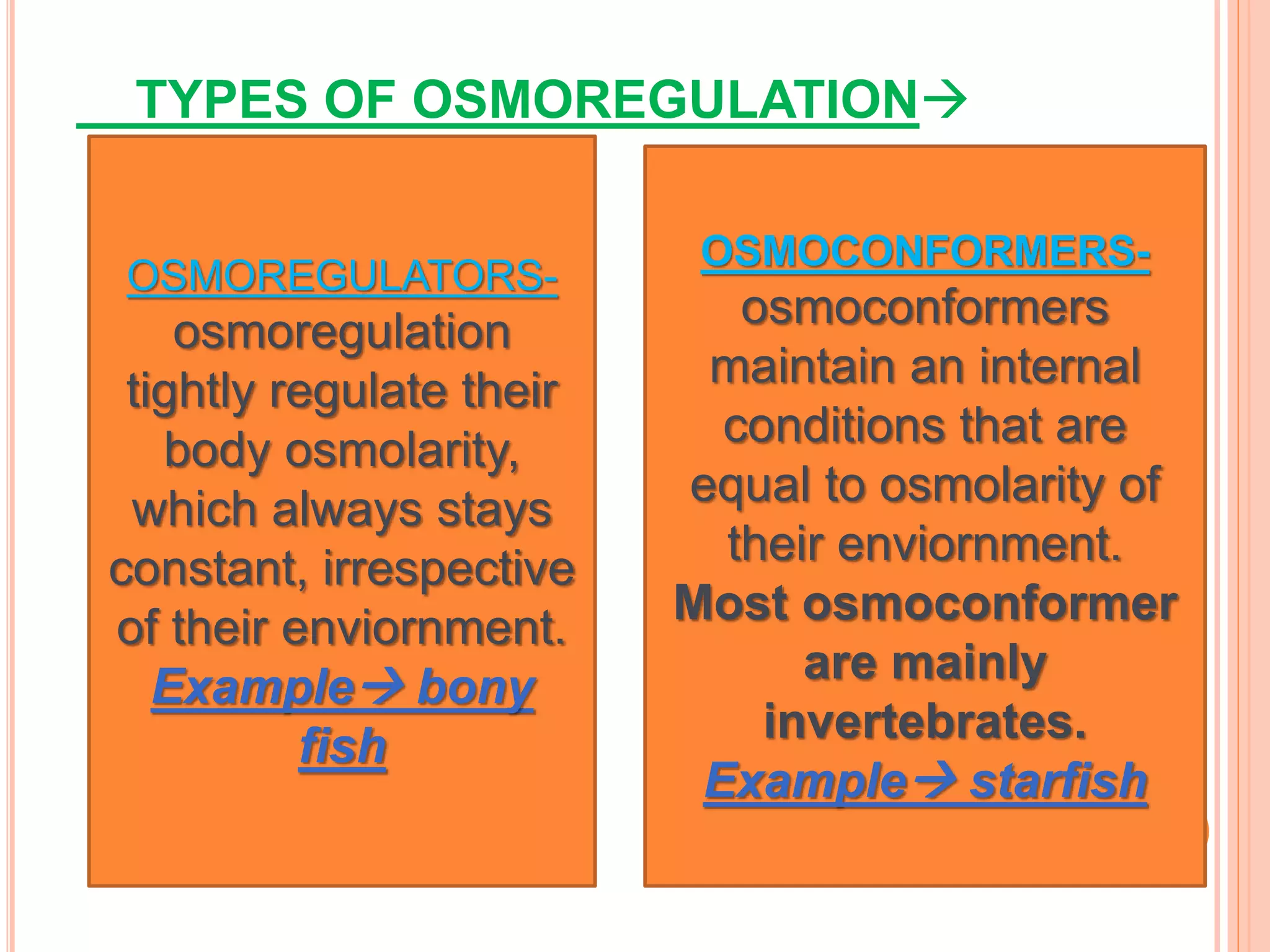 TYPES OF OSMOREGULATION
OSMOREGULATORS-
osmoregulation
tightly regulate their
body osmolarity,
which always stays
constant, irrespective
of their enviornment.
Example bony
fish
OSMOCONFORMERS-
osmoconformers
maintain an internal
conditions that are
equal to osmolarity of
their enviornment.
Most osmoconformer
are mainly
invertebrates.
Example starfish
 