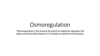 Osmoregulation
“Osmoregulation is the process by which an organism regulates the
water and electrolytic balance in its body to maintain homeostasis.
 