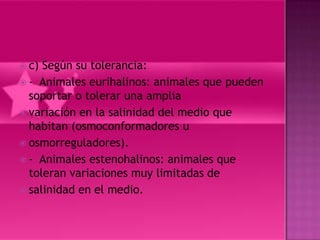  c) Según su tolerancia:
 - Animales eurihalinos: animales que pueden
  soportar o tolerar una amplia
 variación en la salinidad del medio que
  habitan (osmoconformadores u
 osmorreguladores).
 - Animales estenohalinos: animales que
  toleran variaciones muy limitadas de
 salinidad en el medio.
 