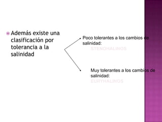  Además  existe una
                       Poco tolerantes a los cambios de
 clasificación por     salinidad:
 tolerancia a la            STENOHALINOS
 salinidad

                          Muy tolerantes a los cambios de
                          salinidad:
                          EURYHALINOS
 