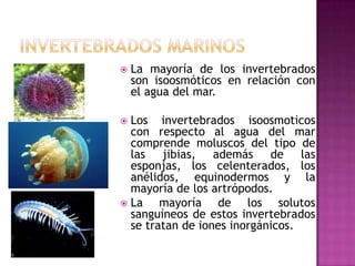    La mayoría de los invertebrados
    son isoosmóticos en relación con
    el agua del mar.

 Los invertebrados isoosmoticos
  con respecto al agua del mar
  comprende moluscos del tipo de
  las jibias, además de las
  esponjas, los celenterados, los
  anélidos, equinodermos y la
  mayoría de los artrópodos.
 La    mayoría de los solutos
  sanguíneos de estos invertebrados
  se tratan de iones inorgánicos.
 