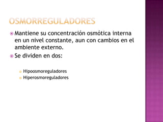  Mantiene  su concentración osmótica interna
  en un nivel constante, aun con cambios en el
  ambiente externo.
 Se dividen en dos:


      Hipoosmoreguladores
      Hiperosmoreguladores
 