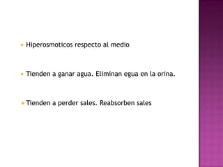    Hiperosmoticos respecto al medio



   Tienden a ganar agua. Eliminan egua en la orina.



 Tienden   a perder sales. Reabsorben sales
 