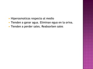  Hiperosmoticos respecto al medio
 Tienden a ganar agua. Eliminan egua en la orina.
 Tienden a perder sales. Reabsorben sales
 