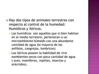  Haydos tipos de animales terrestres con
 respecto al control de la humedad:
 Humídicos y Xéricos.
    Los humídicos son aquellos que si bien habitan
     en el medio terrestre, pertenecen a un
     microambiente húmedo con una abundante
     cantidad de agua (la mayoria de los
     anfibios, cangrejos, lombrices)
    Los Xéricos poseen la habilidad de vivir
     eambientes secos con poca cantidad de agua
     ( aves, mamíferos, reptiles, insectos y
     arácnidos).
 