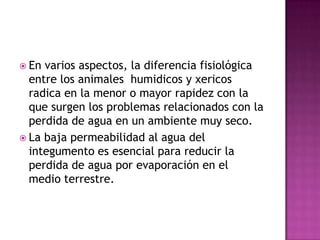  En varios aspectos, la diferencia fisiológica
  entre los animales humidicos y xericos
  radica en la menor o mayor rapidez con la
  que surgen los problemas relacionados con la
  perdida de agua en un ambiente muy seco.
 La baja permeabilidad al agua del
  integumento es esencial para reducir la
  perdida de agua por evaporación en el
  medio terrestre.
 