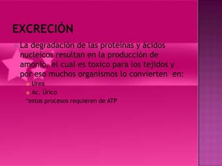  Ladegradación de las proteínas y ácidos
 nucleicos resultan en la producción de
 amonio, el cual es toxico para los tejidos y
 por eso muchos organismos lo convierten en:
    Urea
    Ac. Úrico

   *estos procesos requieren de ATP
 