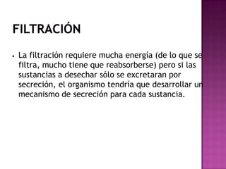 •   La filtración requiere mucha energía (de lo que se
    filtra, mucho tiene que reabsorberse) pero si las
    sustancias a desechar sólo se excretaran por
    secreción, el organismo tendría que desarrollar un
    mecanismo de secreción para cada sustancia.
 